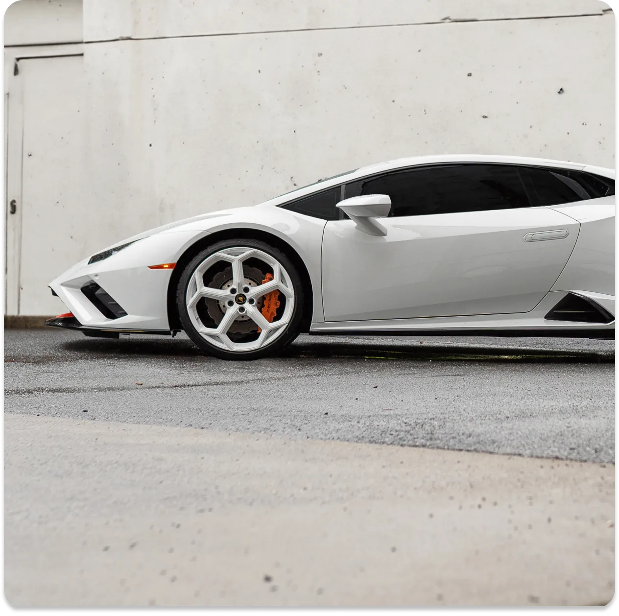 PPF vs Vinyl Wrap comparison guide